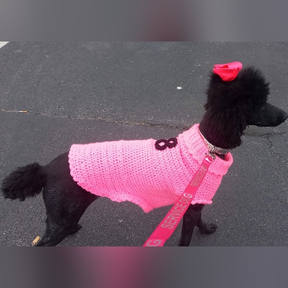 Meet your Posher, Stacey adele.... Babette (standard poodle) Nanook (Great Dane) - Picture 5 of 7